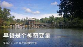 古怪巫师逃离村庄